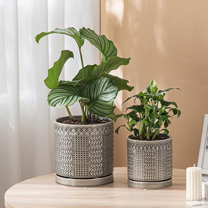 POITONRU Indoor-Outdoor Ceramic Plant Pots: 6 Inch Flower Pots with Drainage Hole & Saucer - Decorative Ceramic Pots for Plants Herbs Succulents - Home Garden Patio Lawn Use