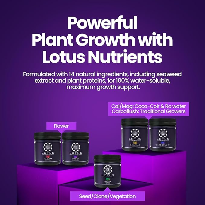 Bloom Pro Series - Hydroponic Plant Nutrients and Fertilizer, Water Soluble Plant Food, for Coco Coir Hydro and Soil, Enhances Flowering and Fruiting, Indoor and Outdoor Grows (16oz)