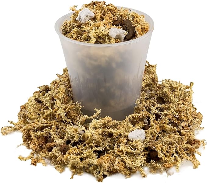 Gardenera Premium PHALAENOPSIS Imperial Orchid Potting Mix - Hand Mixed in Small Batches | Great for Phalaenopsis of All Kinds - 1 Quart Bag