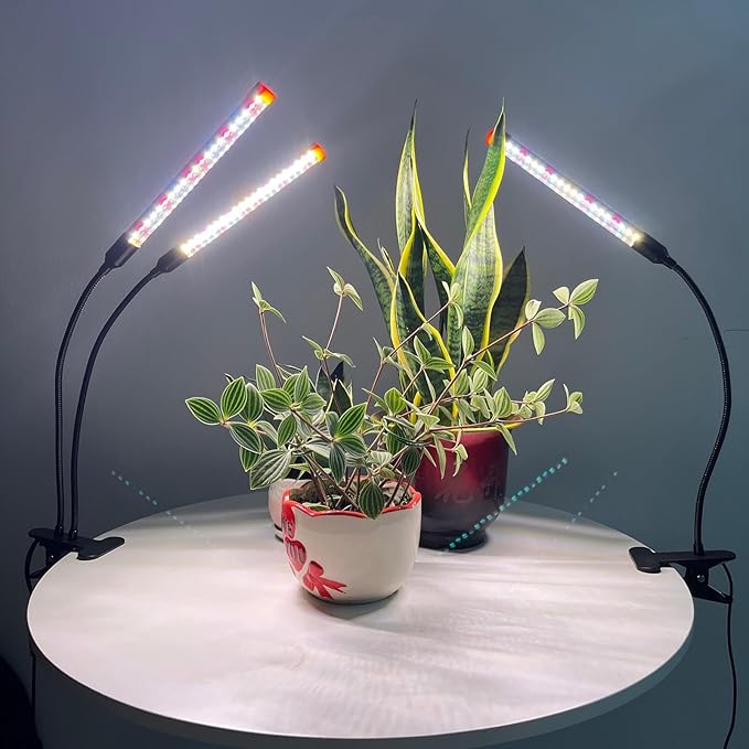 JINHONGTO Clip Grow Lights for Seed Starting Seedlings with Timer, Enough Bright 18 Watt Power Home Plug, Not 5W Adapter, Small Bonsai Grow Light, Full Spectrum Plant Light for Indoor Growing