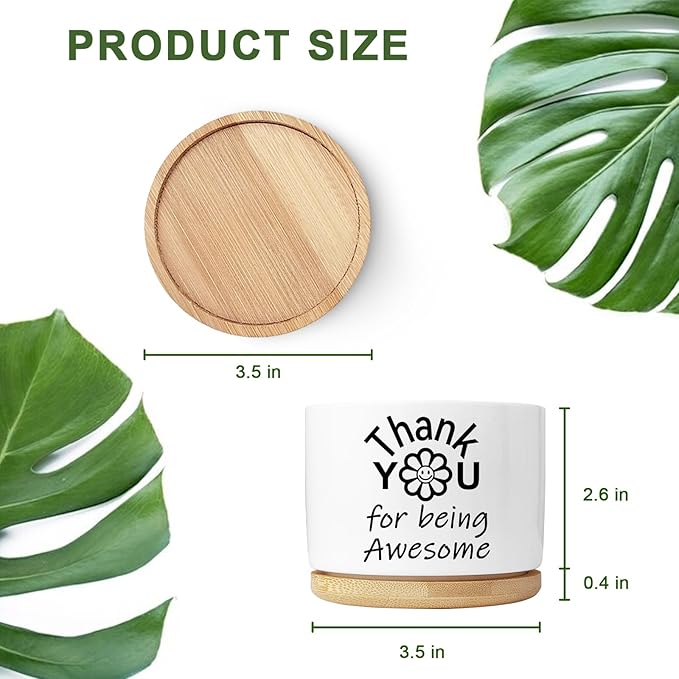 Aryabtya Thank You Gifts for Women, Succulent Planter, Flower Cactus Plant Pot, Employee Appreciation Gifts for Coworkers Nurse Friends Women, Thank You for Being Awesome (No Plants)