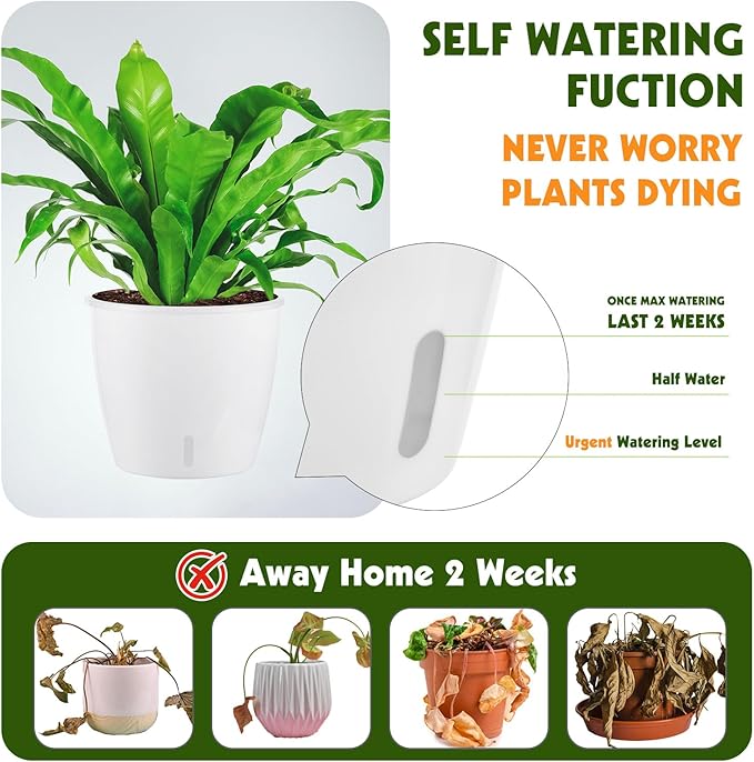 KvyusFlourish Self-Watering Pots for Indoor Plants, 8-Pack 6.7'' Self Watering Planter with Drainage Holes, Small African Violet Pots with Water Indicator, Clear Wick Pot, White