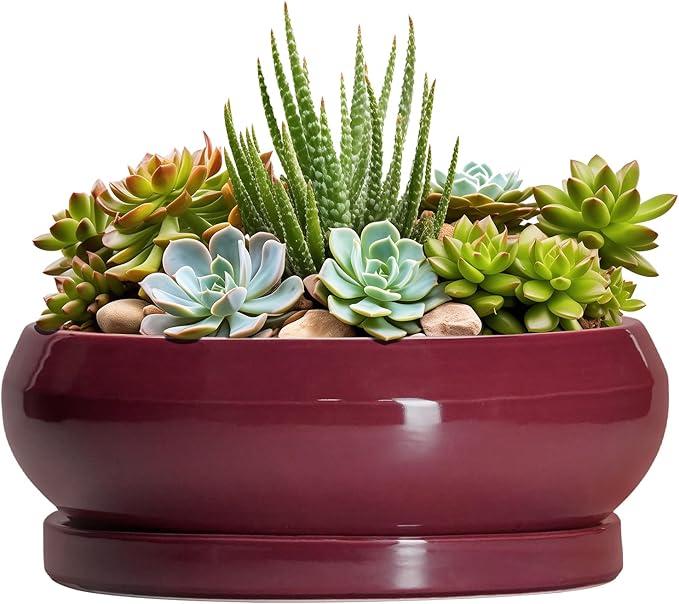 EPFamily Succulent Pots - 8 Inch Bonsai Pots for Indoor Outdoor, Shallow Ceramic Planter with Drainage Hole and Saucer, Round Flower Succulent Planters, Apartment Decor, Gardening Gift, Red