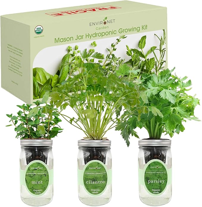 Environet Hydroponic Herb Growing Kit Set, Self-Watering Mason Jar Herb Garden Starter Kit Indoor, Windowsill Herbs Garden, Grow Your Own Herbs from Organic Seeds (Mint, Cilantro and Parsley)