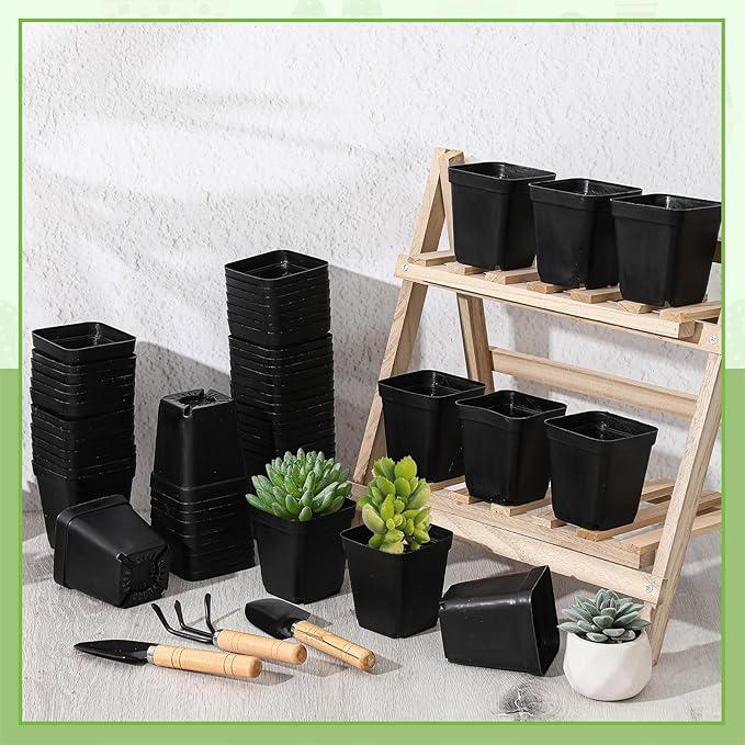 Yaomiao 200 Pack 3 Inch Black Nursery Pot Square Flower Pots Plastic Plant Succulent Planter Seed Starting Pots with Drainage Holes for Garden Office Balcony Decor Indoor Outdoor Plant Seedling