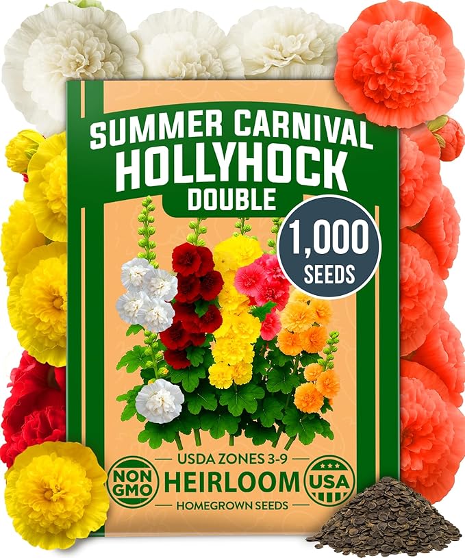 HOME GROWN Hollyhock Summer Carnival Mix Flower Seeds – Alcea Rosea, Premium Annual Flower Seeds, 1000 Seeds for Planting Flowers, High-Germination Flower Seed Bulk Pack
