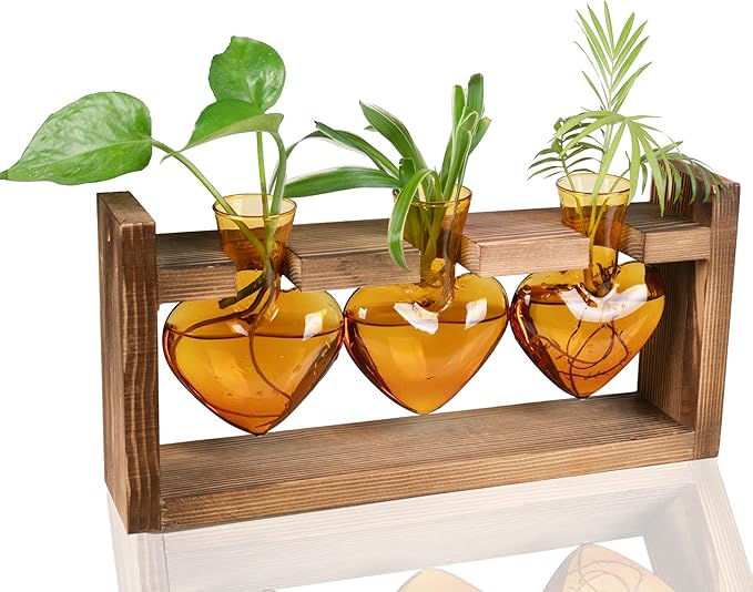 Kingbuy 3-Heart Plant Terrarium Kit - Stained Glass Vase Propagation Station with Vintage Wood Stand - Wall-Mounted Tabletop Indoor Garden Decor for Home Kitchen Wedding Gift for Plant Lover, Amber
