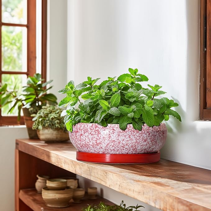 EPFamily Bonsai Pots 10 Inch - Ceramic Succulent Planters for Indoor Plants Outdoor, Succulent Pots with Drainage Hole and Tray, Round Shallow Planter, Bonsai Planter, Home Decor, Gardening Gift, Red
