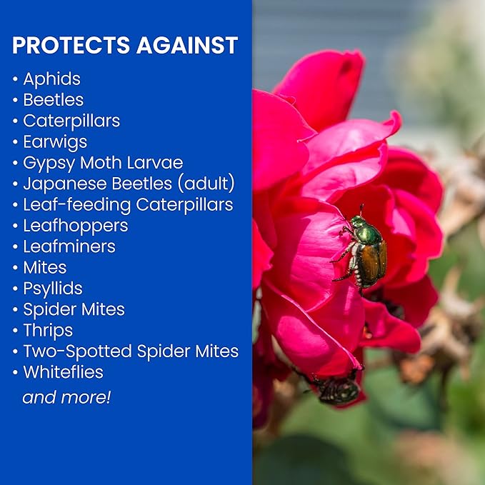 BioAdvanced 3-In-1 Insect, Disease and Mite Control, Fungicide, Ready-to-Spray, 32 oz (Packaging may vary)