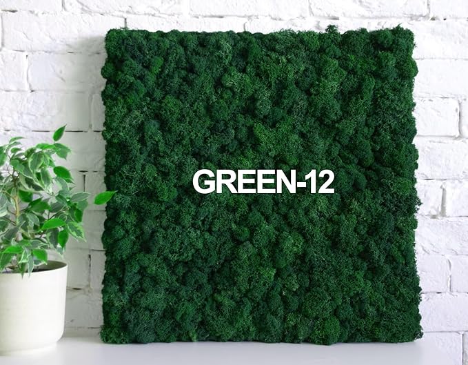 prefleur Preserved Reindeer Moss Natural Green DIY Kit Gardenning Art Wall Decor Florist Decor Easter Table Decor Wedding