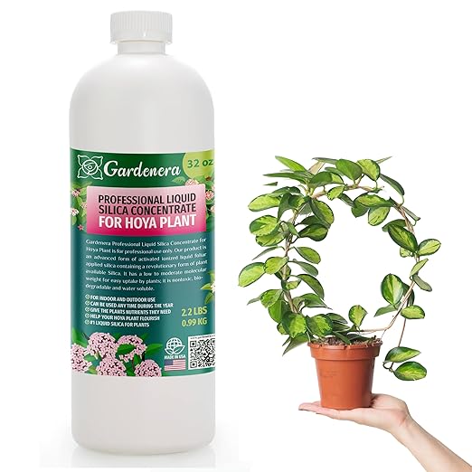 𝐏𝐑𝐎𝐅𝐄𝐒𝐒𝐈𝐎𝐍𝐀𝐋 Liquid Silica Plant Supplement - 32oz - Hoya Plants Liquid Silica Boost Fertilizer - Stronger Stems & Healthy Leaves for Indoor & Outdoor Hoya Plants (Makes 180 Gallons)