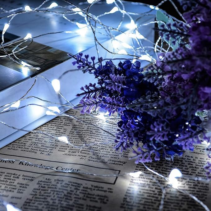 RUICHEN Silver Wire 66 Ft 200 LED USB Fairy String Lights with On/Off Switch (Cool White)
