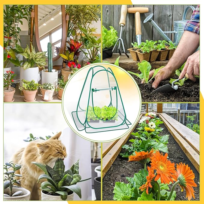 Pop Up Greenhouse Cover, Mini Greenhouse PVC Gardening Plant 4-Pack, Portable Small Green House for Indoor Outdoor, Sunshine Room Backyard Flow
