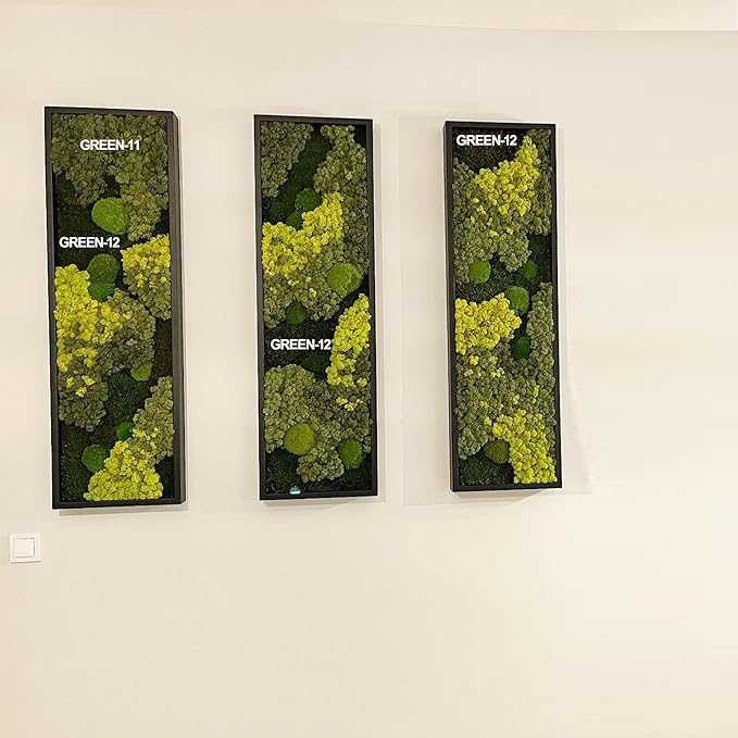 prefleur Preserved Reindeer Moss Natural Green DIY Kit Gardenning Art Wall Decor Florist Decor Easter Table Decor Wedding