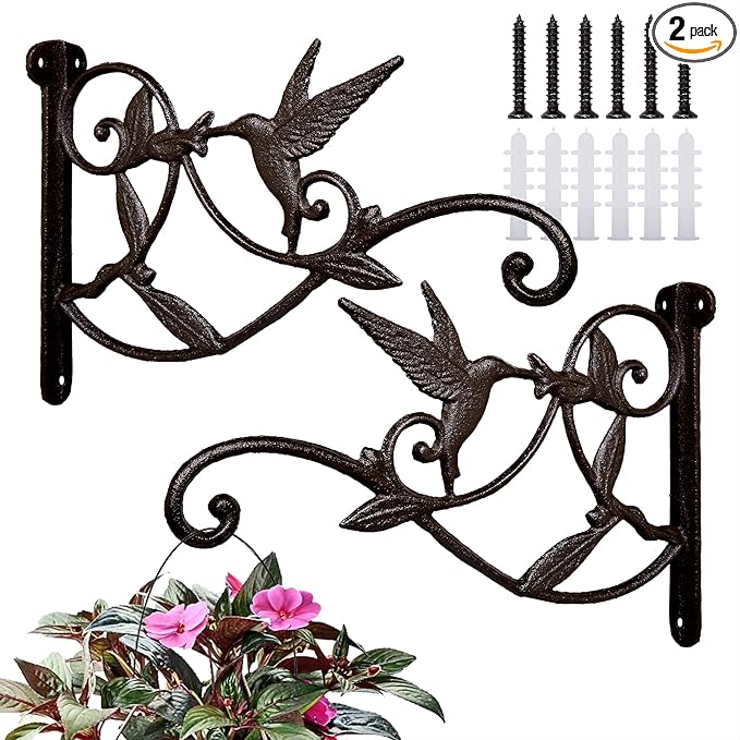 FLORWOD 2pcs Plant Hangers Outdoor Heavy Duty for Wall 10 Inch, Decorative Plant Bracket Lantern Hooks Rustic Iron, Hummingbird Style