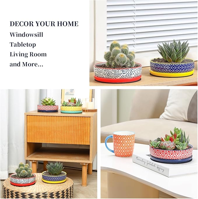 Selamica Ceramic Succulent Pots, Shallow Succulent Planters with Drainage Hole & Saucer, Indoor Plant Pots for Cactus, Home Decor，Assorted Colors,6 inch，Set of 4