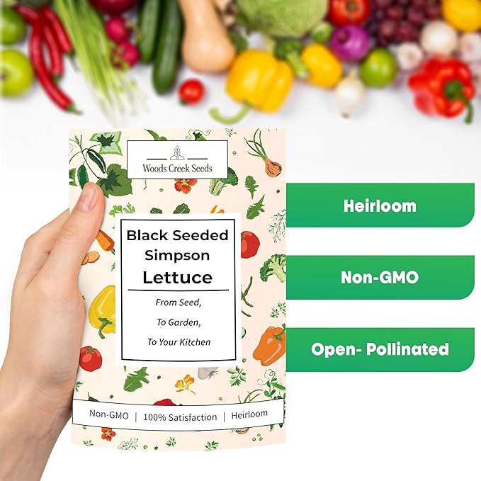 Black Seeded Simpson Heirloom Lettuce Seeds for Planting - Over 1,700 Non-GMO Seed Pack for Indoors, Outdoors, or as Hydroponic Seeds - Beginner-Friendly Green Leaf Lettuce Seed | Woods Creek Seeds