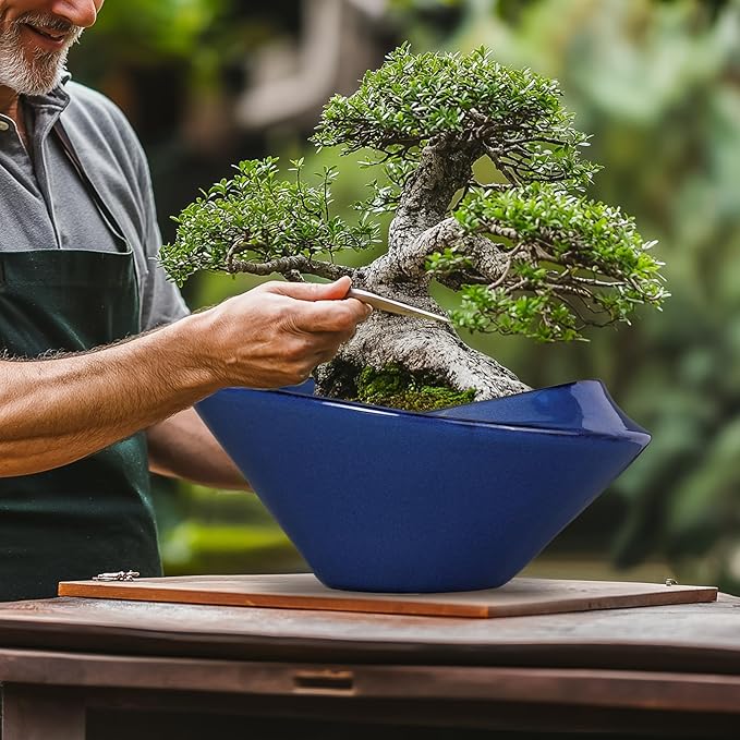 Teagas Bonsai Tree Pot 13 Inch - Ceramic Succulent Pots Large Bonsai Planter for Indoor Outdoor Plants Decorative Plant Pot with Drainage Hole Flower Pot for House Garden Room Home Decor Blue