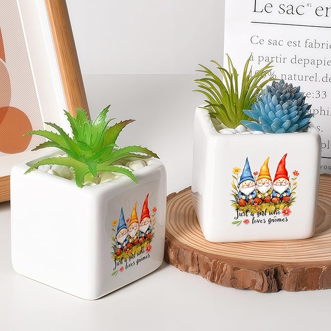 BJDAMAI Gnomes Succulent Planter Flower Plant Pot Small, Gifts for Women Teens Girls Kids, Gnomes Lovers Themed Stuff Accessories Things Decor Merch, Home Office Table Desk Decoration!