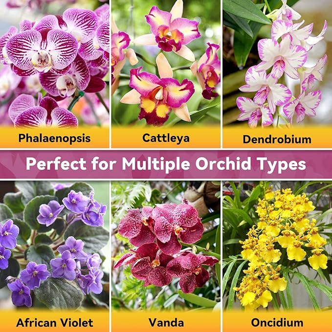 Riare 1QT Orchid Potting Mix, Natural Orchid Bark Potting Mix Soil Medium with Pine Bark and Perlite, Premium Orchid Repotting Kit for Phalaenopsis Dendrobiums, Enhanced Drainage & Root Expansion