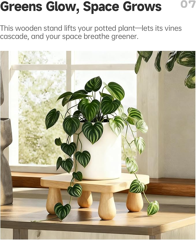 100% Solid Wood Plant Stand Indoor, Wooden Stool Display Stand, Riser Flower Pot Holder, Modern Plants Rack, Small Planter Tray for Home Decor, Living Room, Gardening, Natural (1PC)