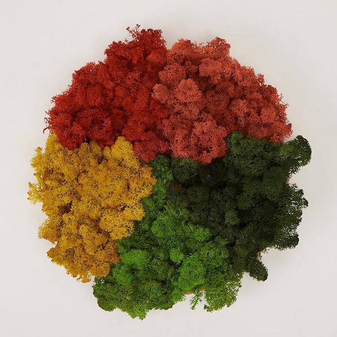prefleur Preserved Reindeer Moss Natural Green DIY Kit Gardenning Art Wall Decor Florist Decor Easter Table Decor Wedding