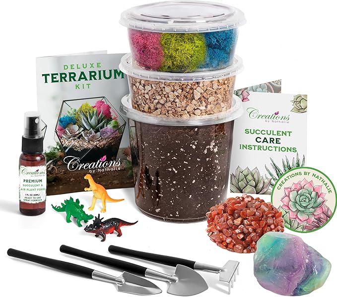 Creations by Nathalie – Premium Small DIY Terrarium Kit for Succulents, Cacti & Air Plants, Includes Soil, Moss, Pebbles, Tools, Amethyst Gem & Crystal Chips – Handmade in USA