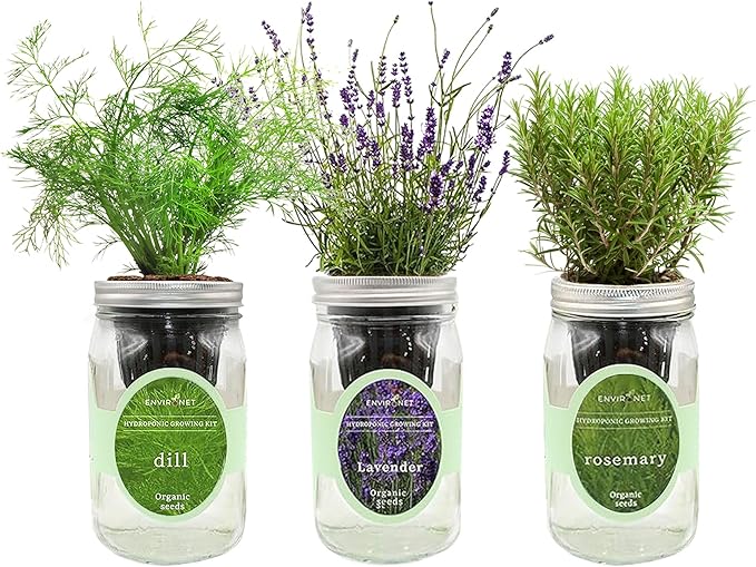 Environet Hydroponic Herb Growing Kit Set, Self-Watering Mason Jar Herb Garden Starter Kit Indoor, New Christmas Gift for Mom (Dill, Lavender & Rosemary)