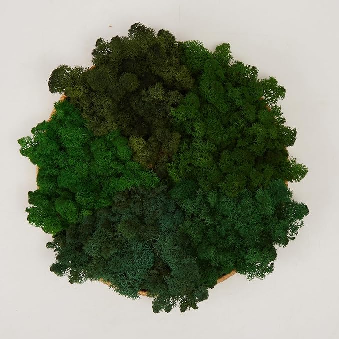 prefleur Preserved Reindeer Moss Natural Green DIY Kit Gardenning Art Wall Decor Florist Decor Easter Table Decor Wedding