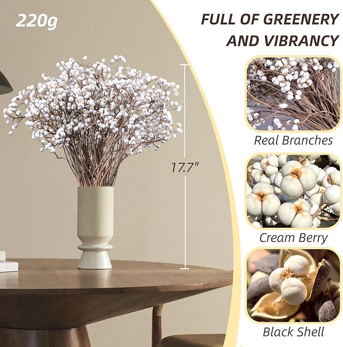 220g Tallow Berries Dried Christmas Decor- 17" Natural Stem Wedding Floral Decor, White Holly Tallow Berries, 2 Bundles Dried Flower Billy Balls, Button Plant, Willow Branches, Wreath DIY Handicraft