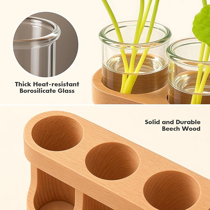 Plant Propagation Station with LED Light – Beech Wood & Glass Desk Decor, Indoor Terrarium with Wooden Stand, Plant Gifts for Women Plant Lovers