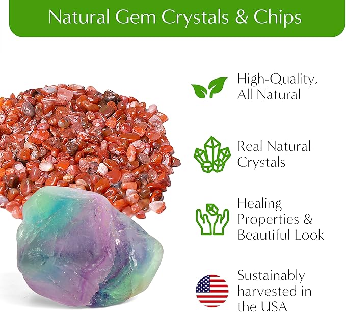 Creations by Nathalie – Premium Small DIY Terrarium Kit for Succulents, Cacti & Air Plants, Includes Soil, Moss, Pebbles, Tools, Amethyst Gem & Crystal Chips – Handmade in USA