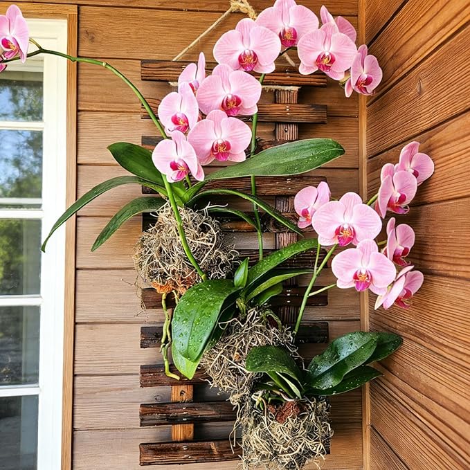 2 Pcs Wall Planters - 11.4"W x 23.62"H Wooden Wall Planters for Indoor Outdoor Plants,Hanging Wood Wall Trellis,Wall Mounted Plant Holder for Orchids,Succulent,Air Plants,Hanging Pots Display
