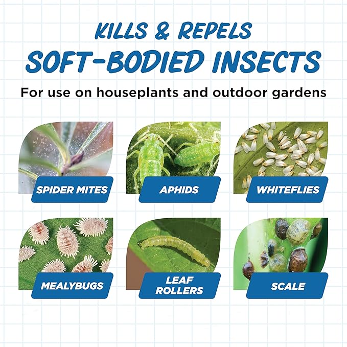 Earth's Ally Outdoor Indoor Plant Insecticide Spray - Ready-to-Use Insecticidal Soap for Plants - Non-Toxic Insect Repellent Pest Control for Spider Mite, Aphid, Mealybug - Bee, Pet, Kid Safe - 24 Oz