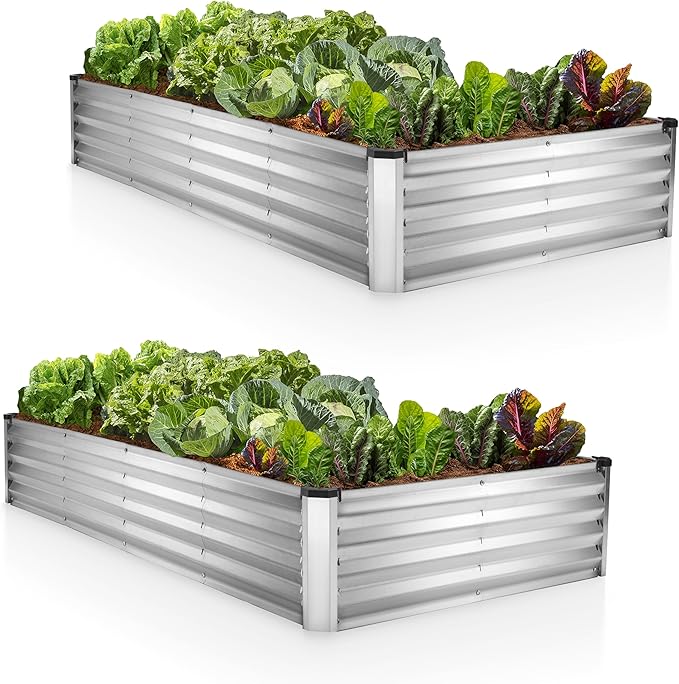 Plant & Plot Galvanized Raised Garden Beds Outdoor // 6×3×1 ft (2-Pack) Planter Raised Beds for Gardening, Vegetables, Flowers // Large Metal Garden Box // Patented Tool-Free Design (Silver)