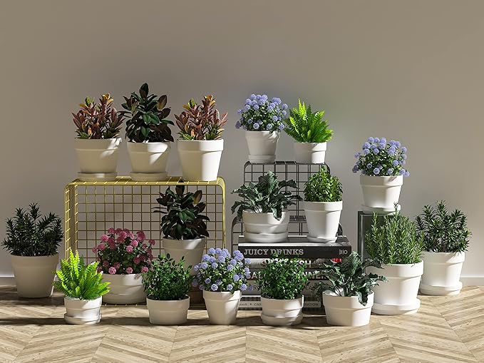 Fcacti 54 Pcs Small Mini White Clay Pots 2.1'' Terracotta Pot Clay Ceramic Pottery Planter Cactus Flower Pots Succulent Nursery Pots- Great for Window Boxes, Cactus, Plants, Crafts, Wedding Favors…