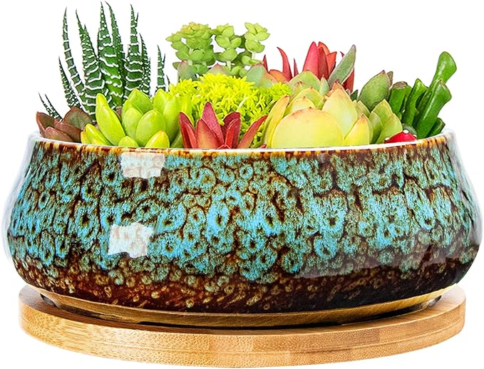 ARTKETTY Succulent Pots - 8 Inch Plant Pot, Large Bonsai Pots with Drainage Tray, Ceramic Planters for Indoor Outdoor Plants, Round Shallow Cactus Flower Plant Container Bowl Decorative Home Garden
