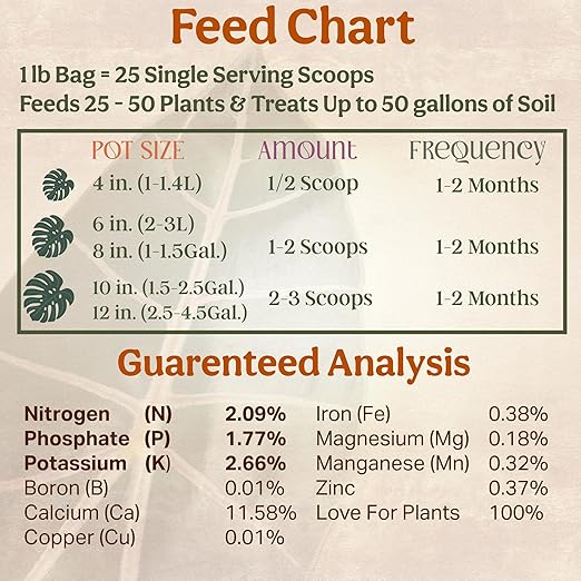 Grow Queen Organic Plant Food, Indoor Plant Food for Houseplants & Aroids, Organic Fertilizer for Flower & Vegetable Gardens, 1lb = 25 Servings, Feeds 50 gal Instantly and Slow Release