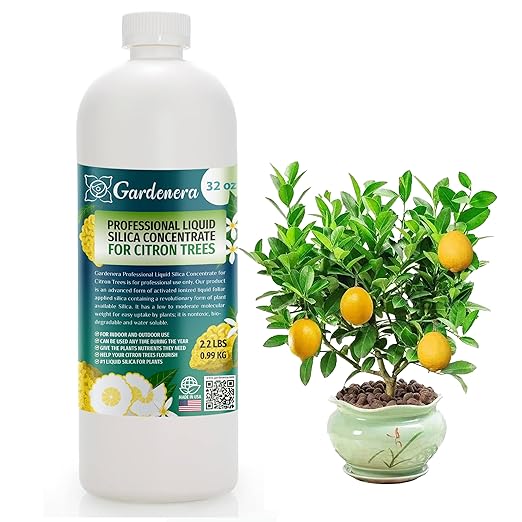 𝐏𝐑𝐎𝐅𝐄𝐒𝐒𝐈𝐎𝐍𝐀𝐋 Liquid Silica Plant Supplement - 32oz - Citron Tree Liquid Silica Boost Fertilizer - Stronger Stems & Healthy Leaves for Indoor & Outdoor Citron Trees (Makes 180 Gallons)