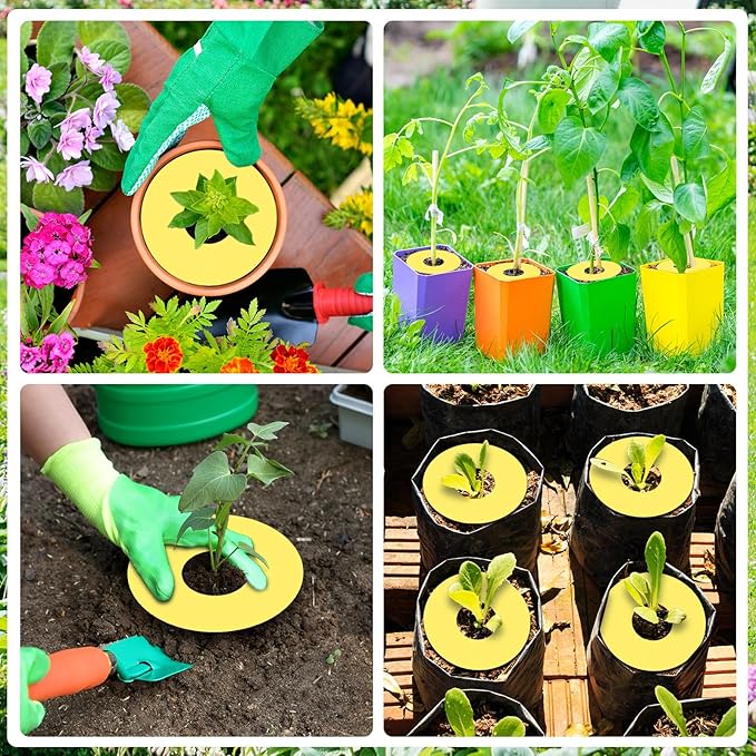 Mysora 24 Pcs Fruit Fly Traps Fungus Gnat Sticky Traps Yellow Round Ring for Pot Plants Indoor Outdoor Mosquito Flying Insects (S)