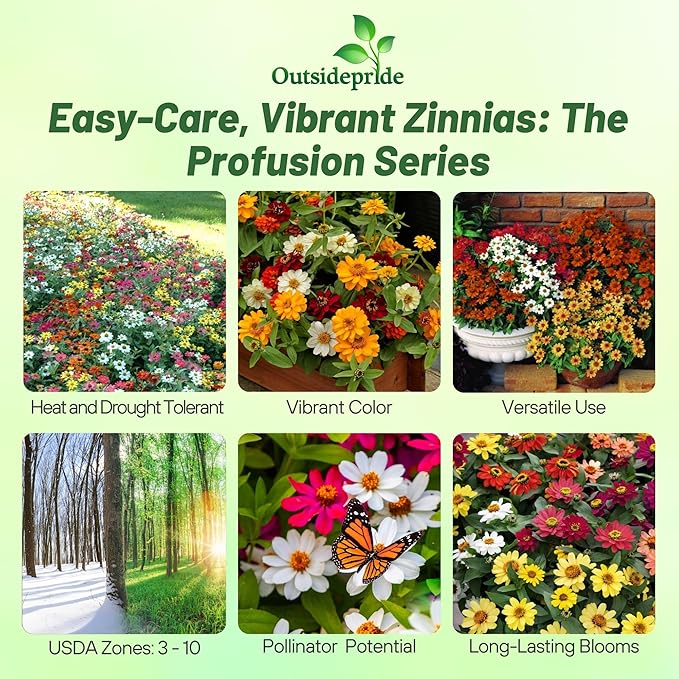 Outsidepride Profusion Double Mix Zinnia Seeds - 25 Pcs Annual, Hardy & Drought Tolerant, Easy to Grow, Flower Seeds for Planting with Daisylike Double Blooms, Ideal for Pollinator Gardens