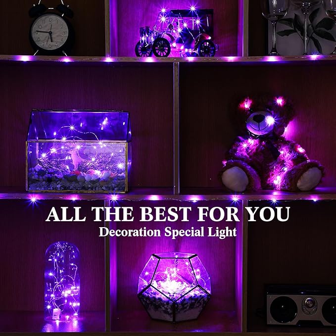 Hortsun 100 Packs Fairy Lights Battery Operated 3 Speed Modes, 7 Ft/ 2 M 20 LED Battery String Mini Waterproof Wire Twinkle Lights Bulk for Wedding Party Birthday Vases Decor (Purple Light)