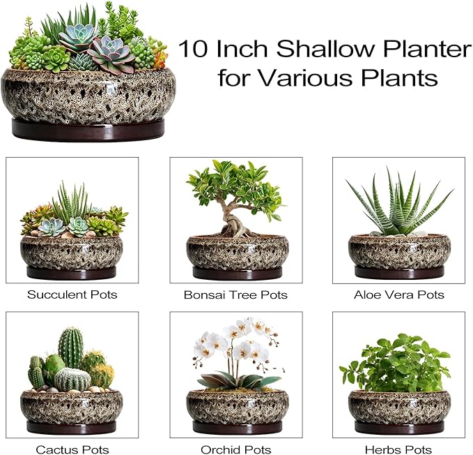 EPFamily Succulent Pots 10 Inch - Ceramic Bonsai Pots with Drainage Hole and Tray, Large Succulent Planters, Shallow Planter Indoor, Round Planter Bowl, Window Decor, Gifts for Plant Lovers, White