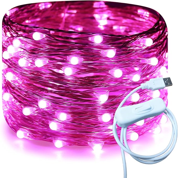 RUICHEN Silver Wire 33 Ft 100 LED USB Fairy String Lights with On/Off Switch (Pink)