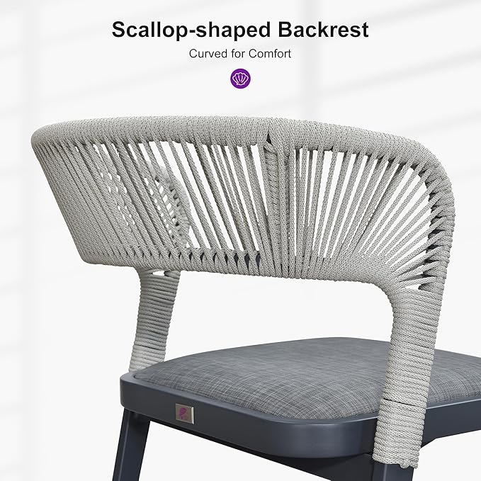 PURPLE LEAF 2 Pieces Outdoor Dining Chair All-Weather Wicker Aluminum Frame Patio Dining Chair for Lawn Garden Backyard Deck with Cushion, Gray