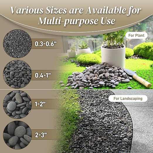 Quibbay 5 lbs Natural Mexican Beach Pebbles, 1-2 Inch Large River Rocks for Plants and Landscaping, Decorative Stone for Fish Tank Aquarium Fountain Garden Paving Walkways Pathways Backyard, Grey