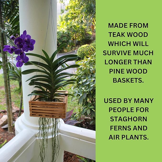 Orchid Basket Making Kit for 3 Strong 12 Inches Wide Hanging Orchid Baskets for Outdoors with Hangers, for Orchids, Staghorn Ferns, Handmade Rustic Wood Vanda Baskets, Staghorn Fern Mount