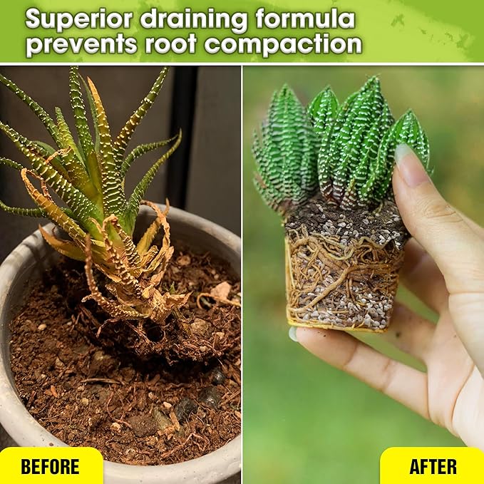 DUSPRO Succulents Soil Potting Mix – 7 in 1 Ingredients Well-Draining, Nutrient-Rich Cactus Potting Soil for Succulents and Cacti, Indoor & Outdoor Use, Ready to Use, Supports Healthy Root Growth, 1QT