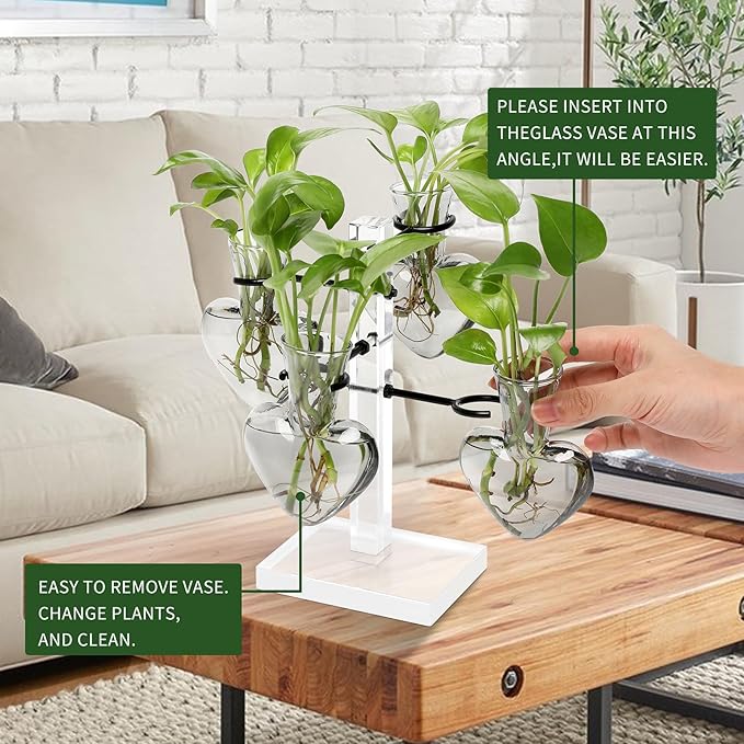 YYHglass Clear Plants Propagation Stations Terrarium Kit Birthday Gift for Women for Indoor Home Office Decor Acrylic Plant Accessories - 4 Love Hear Vase