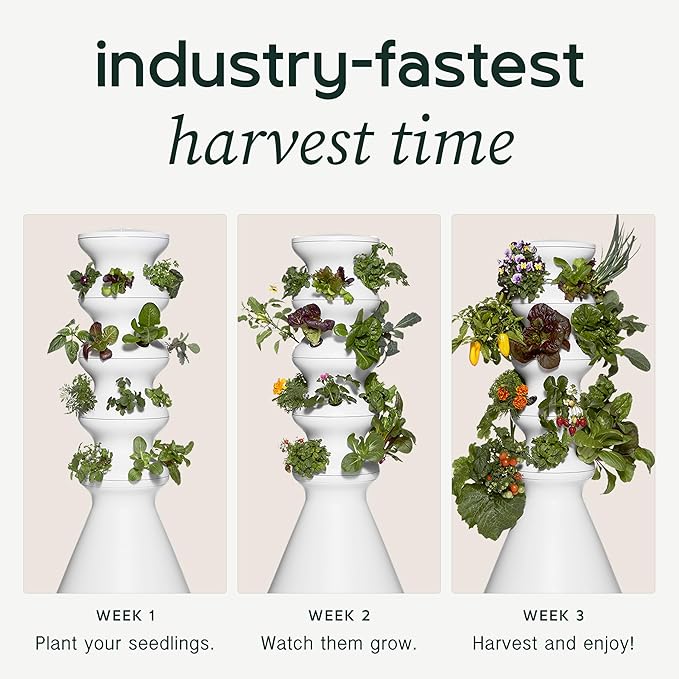Farmstand Starter Kit with Glow Rings and 30 Seedling Credits | Family Hydroponic Growing System Kit | Vertical Garden Planter Tower | 5ft 5in Tall